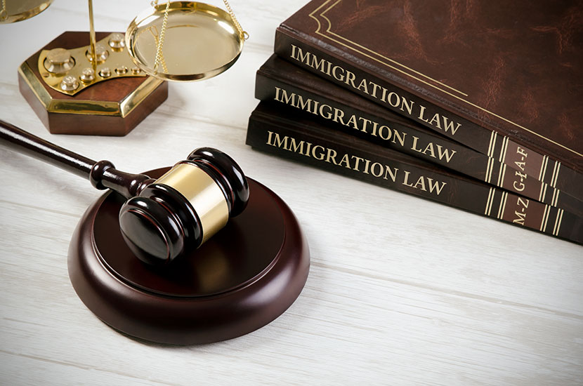 Best Immigration lawyers in the US